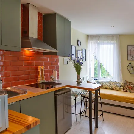 Designer Apartment